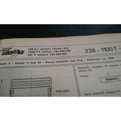 Motore Fiat  238  1438 cc...