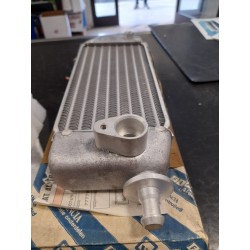 Radiatore  olio   Punto td