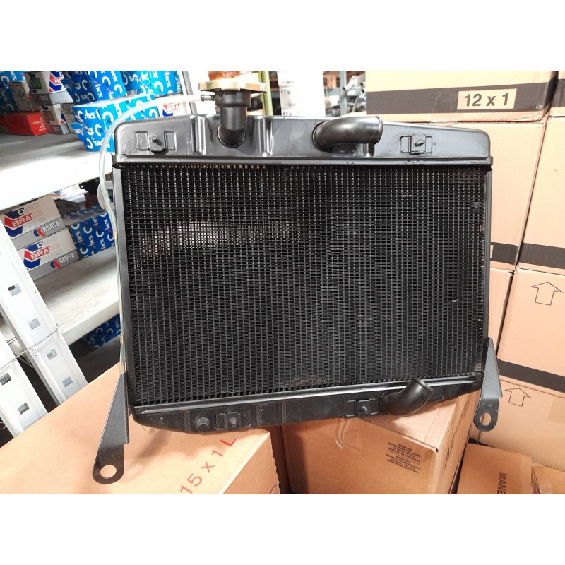 Radiatore motore IPRA 22860