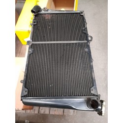 Radiatore motore IPRA 22861