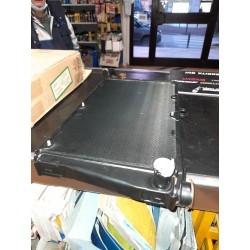 Radiatore motore IPRA 22863