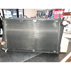 Radiatore motore IPRA 22863